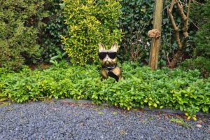 Tuinbeeld Franse Bulldog ‘Bully’ van 60 cm hoog in antiek goud,met zonnebril en sjaal tussen struiken - chique, statig en stoer decor voor buiten.