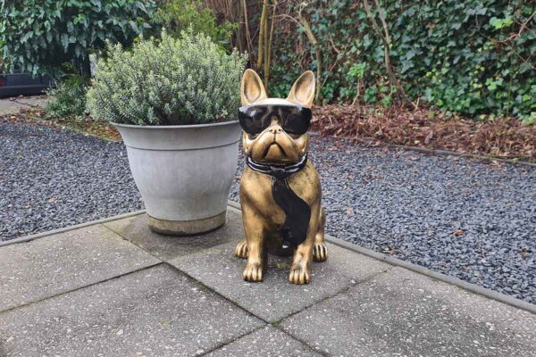 Tuinbeeld Franse Bulldog ‘Bully’ van 60 cm hoog in antiek goud, met zonnebril en sjaal - chique, statig en stoer decor voor buiten.