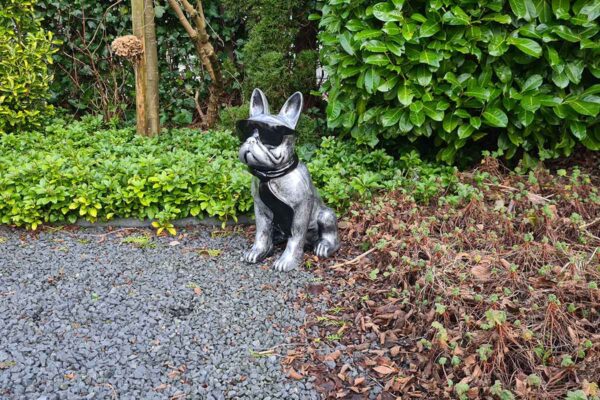 Tuinbeeld Franse Bulldog ‘Bully’ van 60 cm hoog in antiek zilver, met zonnebril en sjaal - chique, statig en stoer decor voor buiten.