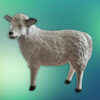 Tuinbeeld Wolly, het witte schaap van bijna levensgroot formaat (ca. 60 cm hoog) met gedraaide kop - geeft je gazon een landelijke uitstraling.