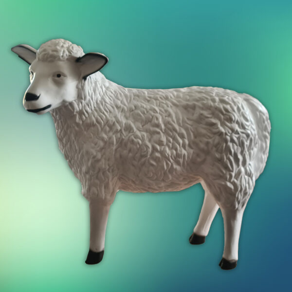 Tuinbeeld Wolly, het witte schaap van bijna levensgroot formaat (ca. 60 cm hoog) met gedraaide kop - geeft je gazon een landelijke uitstraling.