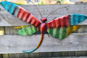 Kleurrijke libelle, zeer groot voor aan schutting