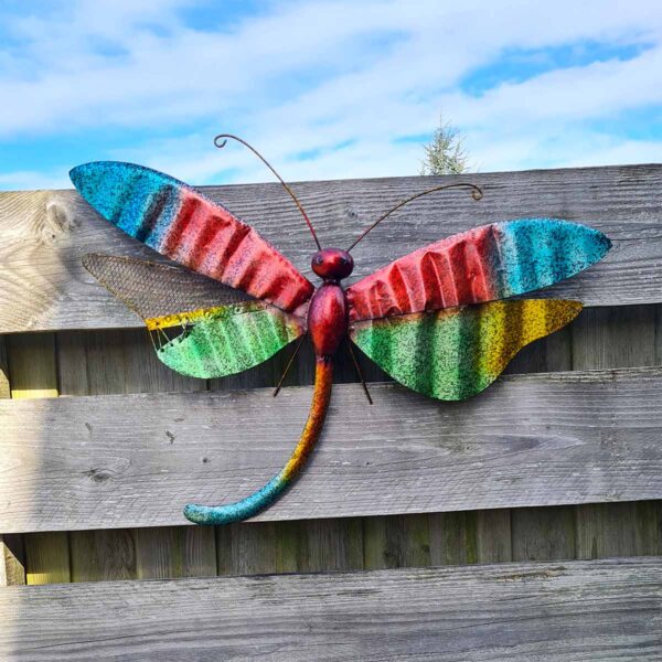 Prachtige grote, kleurrijke libelle als wanddecoratie aan je schutting, huis of tuinhuisje