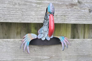 Schutting vogel met grote rode snavel
