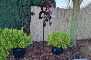 Windmolen Houtlook met metalen windvaan