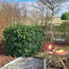 Zwevende vogel aan hengel