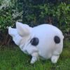 Grappig spaarvarken Knorrepot voor in je tuin