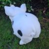 Grappig spaarvarken Knorrepot voor in je tuin