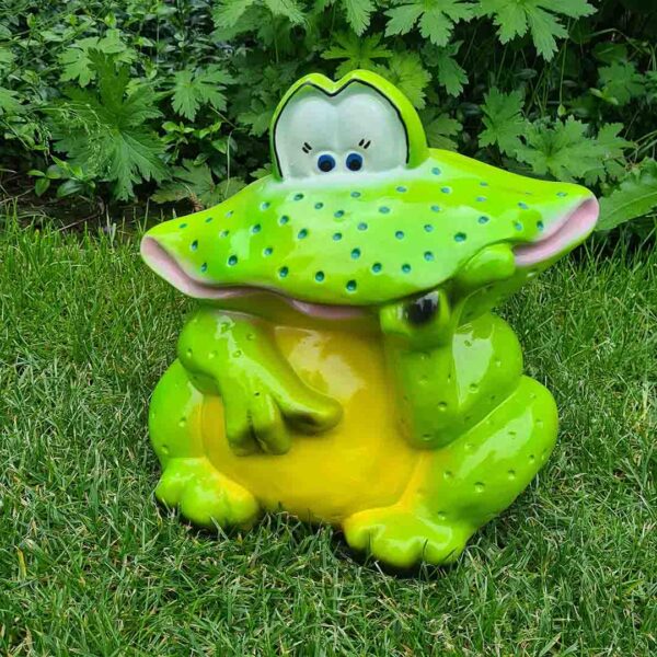 Froggy, de vrolijke breedbekkikker