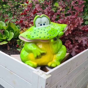 Froggy, de vrolijke breedbekkikker