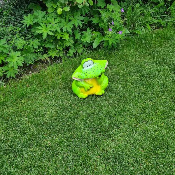 Froggy, de vrolijke breedbekkikker
