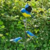 Schommelvogels balanskunst truinprikker