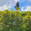 Schommelvogels balanskunst truinprikker