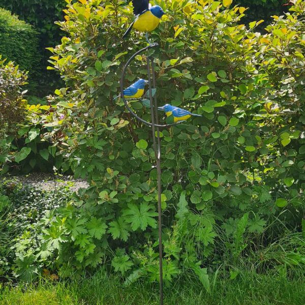Schommelvogels balanskunst truinprikker
