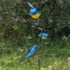 Schommelvogels balanskunst truinprikker