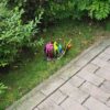 Sjakie Slak je fleurige tuinvriend! Vrolijke zwarte slak met kleurige verfspatters