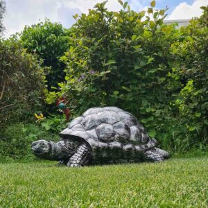 Sjoerd Schildpad, je stoere tuinbewaker! Mega grote schildpad in antiek zilverkleur