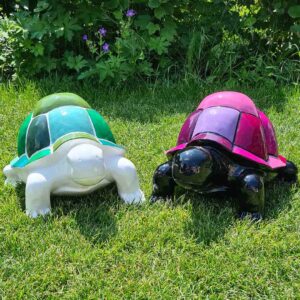 Kleurige schildpad Slowy