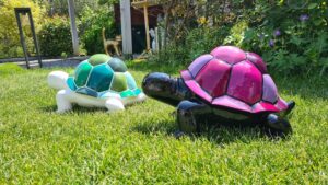 Schildpad slowy, met gekleurd geblokt schild