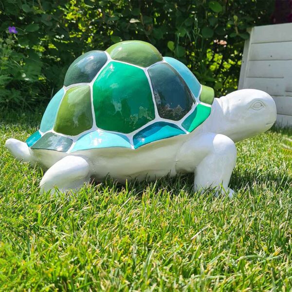 Schildpad slowy, wit met blauw-groen schild