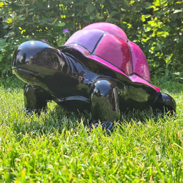 Schildpad slowy, zwart met lila-paars schild