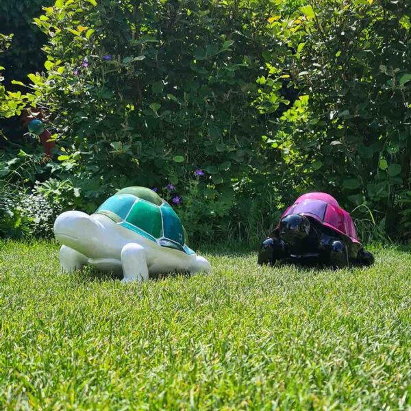 Schildpad slowy, met gekleurd geblokt schild