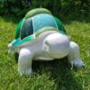 Schildpad slowy, met gekleurd geblokt schild