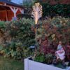 Lichtgevende tuinpluim op zonne-energie avond