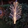 Lichtgevende tuinpluim op zonne-energie avond