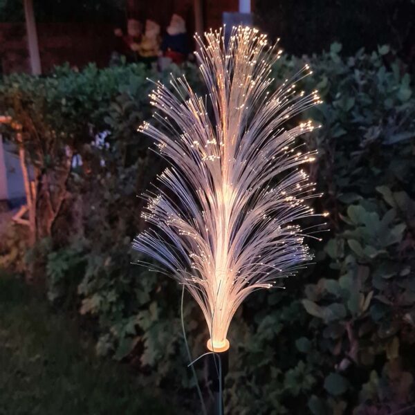 Lichtgevende tuinpluim op zonne-energie avond
