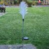 Lichtgevende tuinpluim op zonne-energie overdag