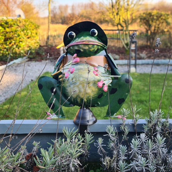Klemkikker op plantenbak