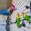 VROLIKE VOGELS WANDDECO