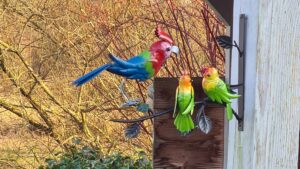 VROLIKE VOGELS WANDDECO