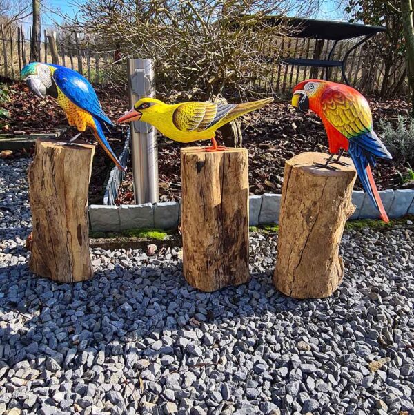 Deze houten gele Cilalon vogel op moerashout (ca. 40-45 cm hoog) is met de hand gesneden en geschilderd in Indonesië. Elk exemplaar is uniek!