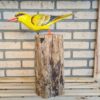 Deze houten gele Cilalon vogel op moerashout (ca. 40-45 cm hoog) is met de hand gesneden en geschilderd in Indonesië. Elk exemplaar is uniek!