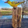 Deze houten gele Cilalon vogel op moerashout (ca. 40-45 cm hoog) is met de hand gesneden en geschilderd in Indonesië. Elk exemplaar is uniek!