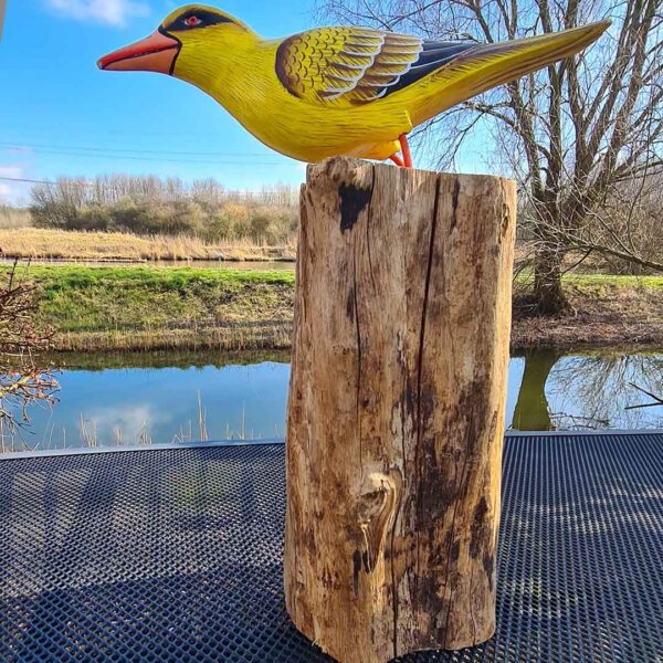 Deze houten gele Cilalon vogel op moerashout (ca. 40-45 cm hoog) is met de hand gesneden en geschilderd in Indonesië. Elk exemplaar is uniek!