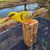 Deze houten gele Cilalon vogel op moerashout (ca. 40-45 cm hoog) is met de hand gesneden en geschilderd in Indonesië. Elk exemplaar is uniek!