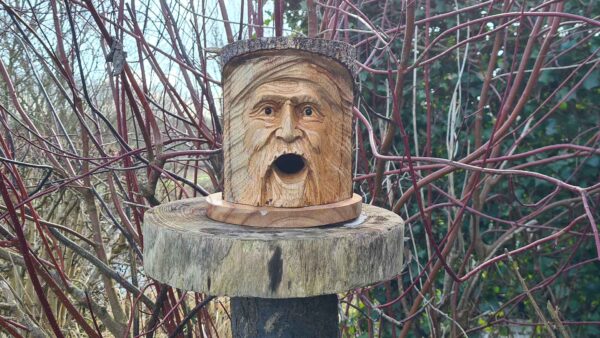 Houten boomstam vogelhuisje met gezicht