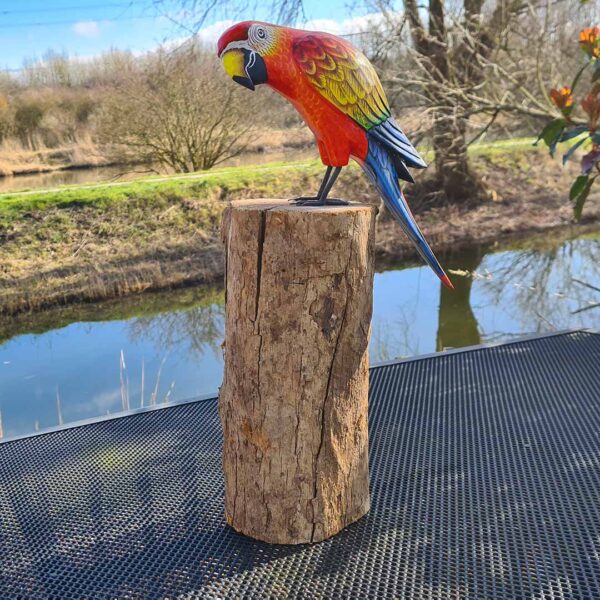 Deze houten papegaai op een moerashouten stronk (ca. 40-45 cm hoog) is met de hand gesneden en geschilderd in Indonesië. Elk exemplaar is uniek!