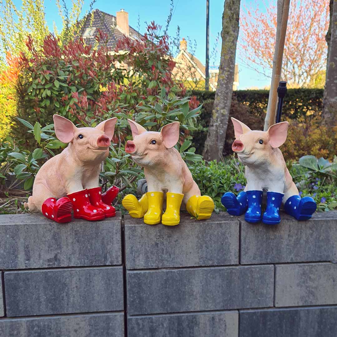 Dit guitige varkentje met vrolijke laarsjes in rood, geel of blauw tovert gegarandeerd een glimlach op je gezicht.